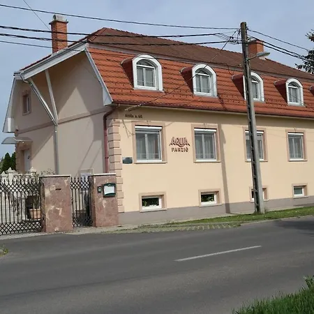 Guest house Aqua Vendeghaz